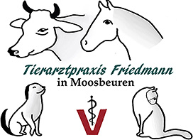 Tierarztpraxis Moosbeuren | Maria Friedmann